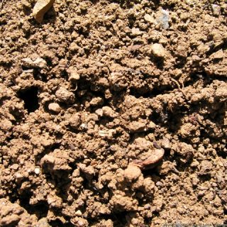 Soils